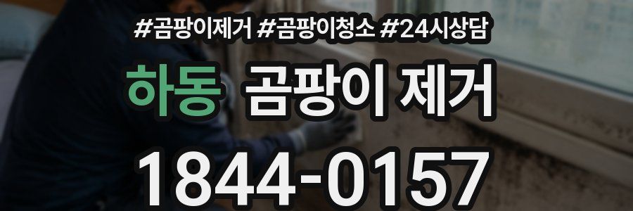 하동 곰팡이 제거