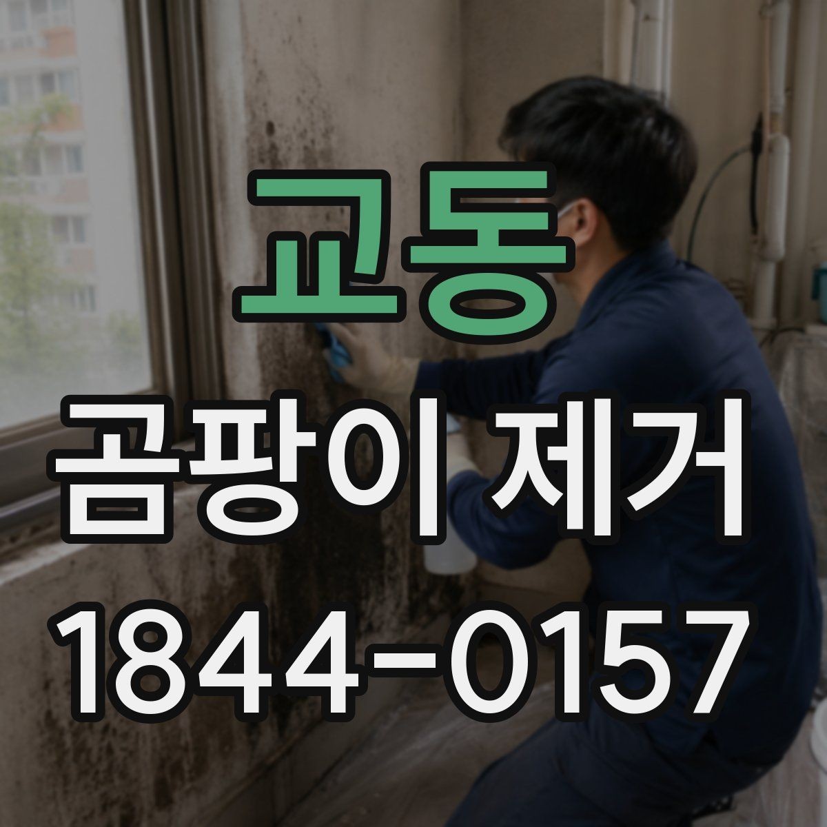 교동 곰팡이 제거 냄새가 다시 올라올 때 볼 부분