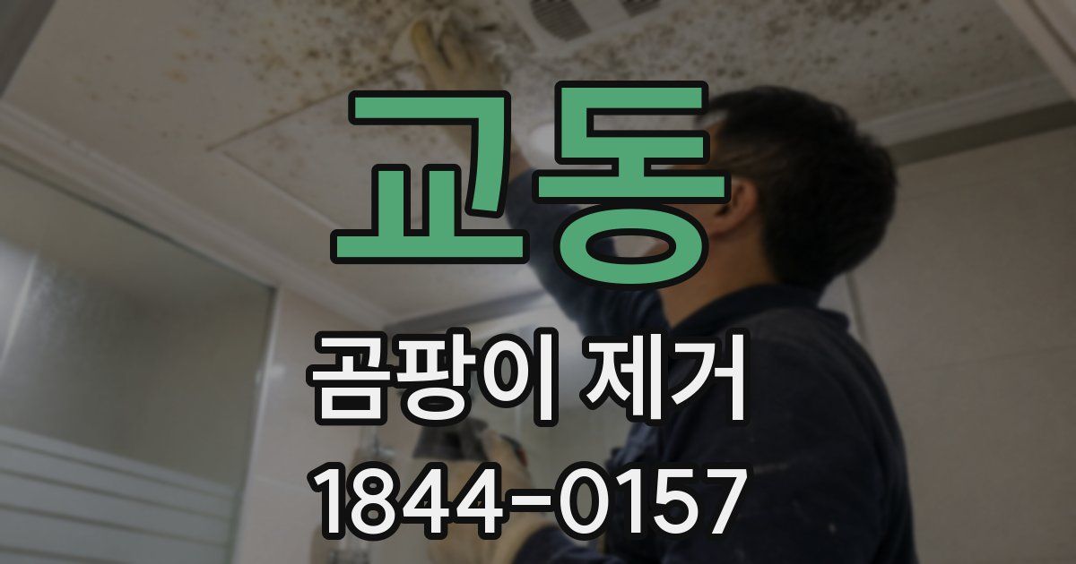 교동 곰팡이 제거