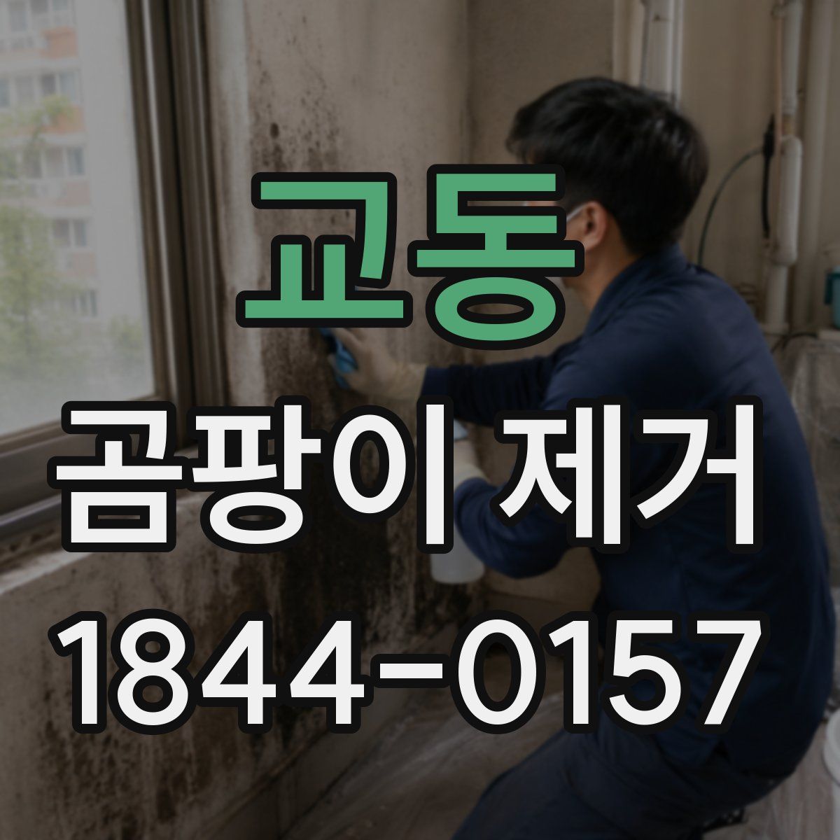 교동 곰팡이 제거