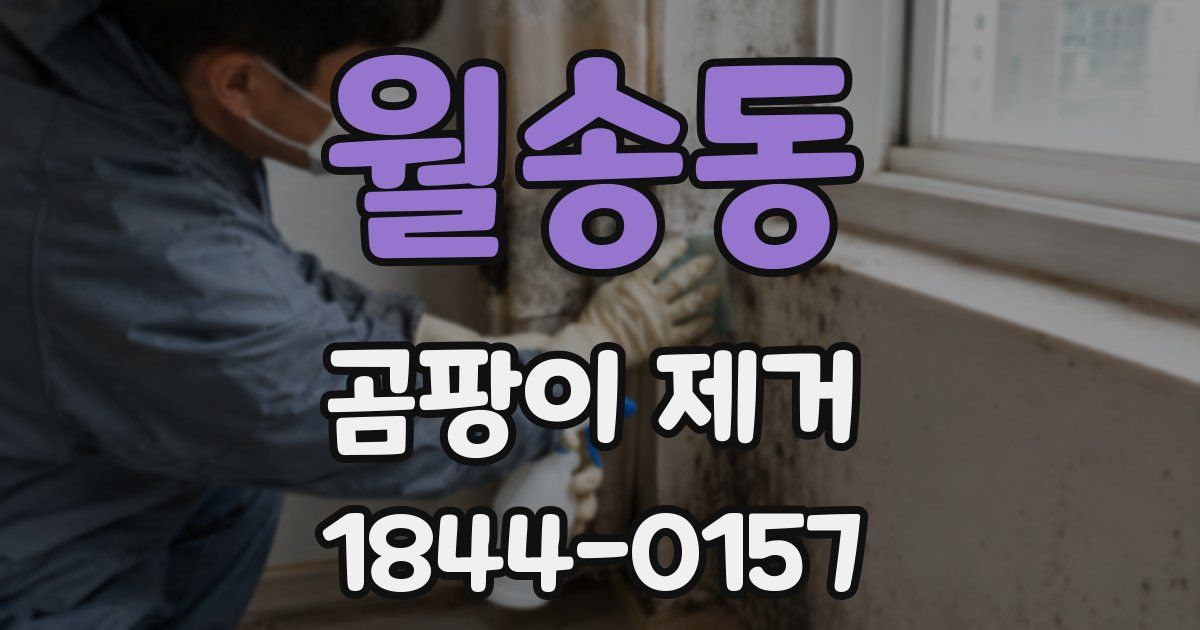 월송동 곰팡이 제거