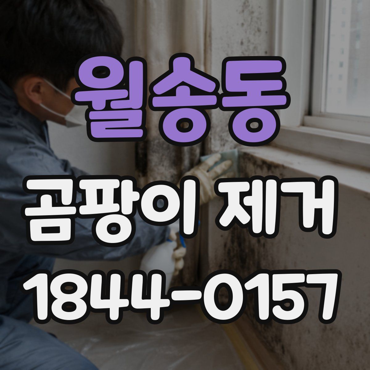 월송동 곰팡이 제거