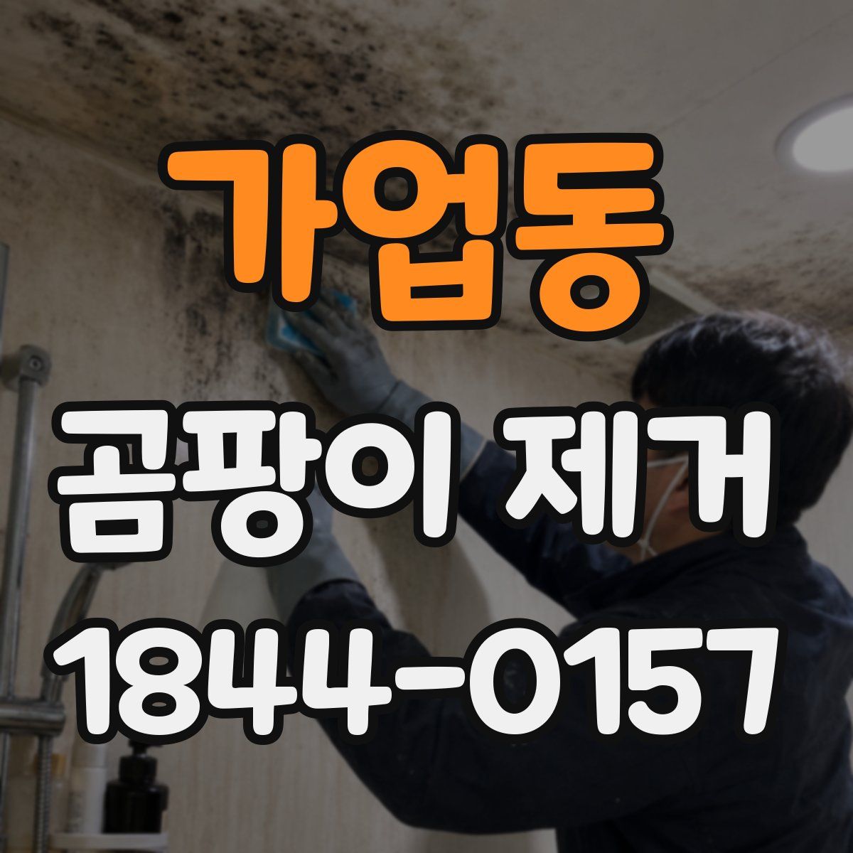가업동 곰팡이 제거