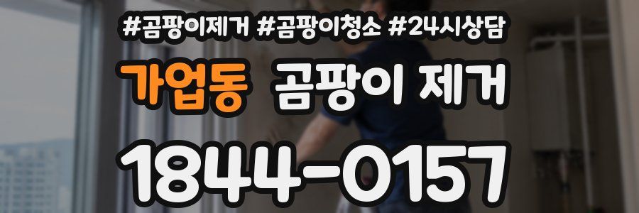 가업동 곰팡이 제거