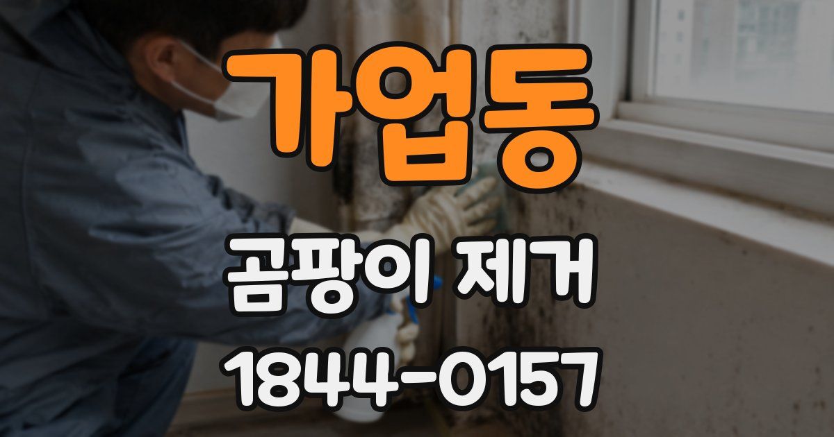 가업동 곰팡이 제거