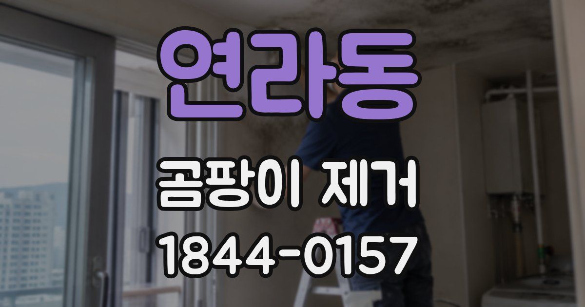 연라동 곰팡이 제거