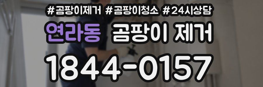연라동 곰팡이 제거