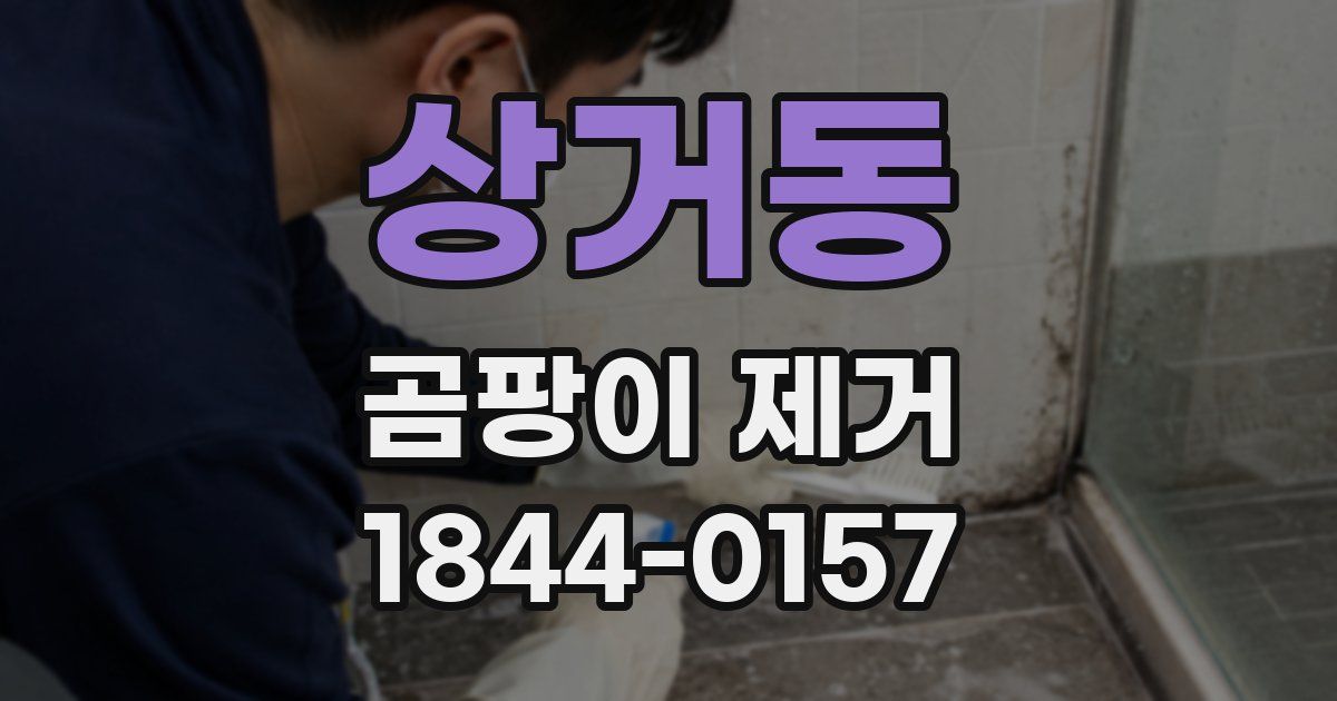 상거동 곰팡이 제거