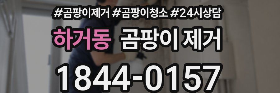 하거동 곰팡이 제거