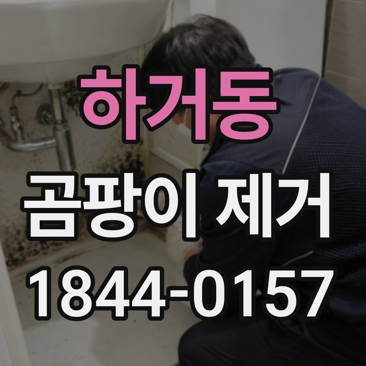 하거동 곰팡이 제거