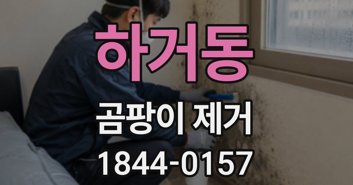 하거동 곰팡이 제거