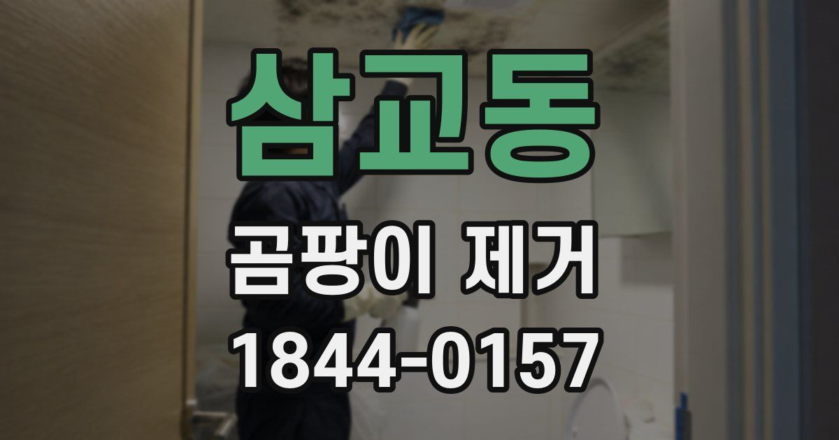 삼교동 곰팡이 제거