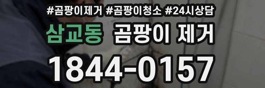 삼교동 곰팡이 제거