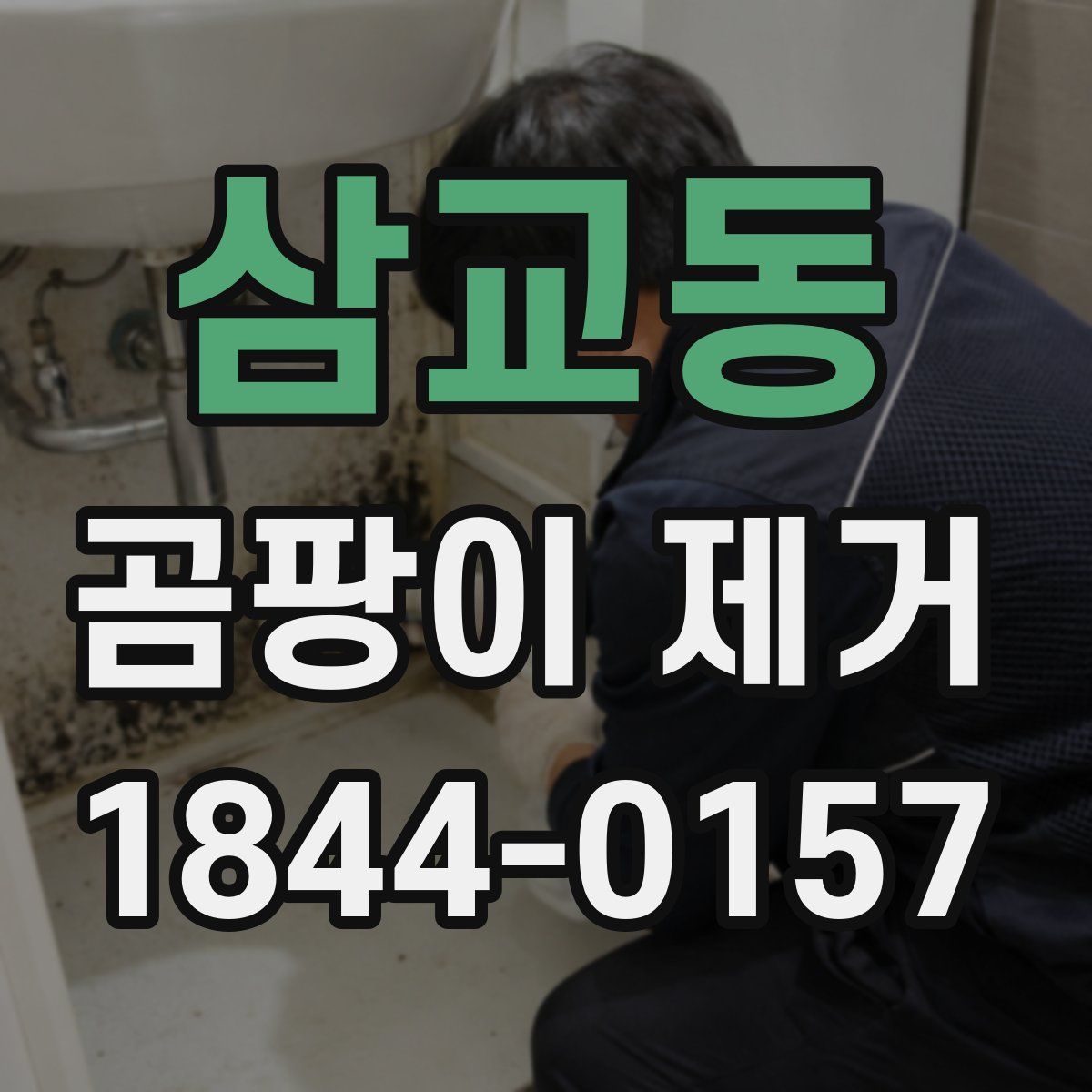 삼교동 곰팡이 제거