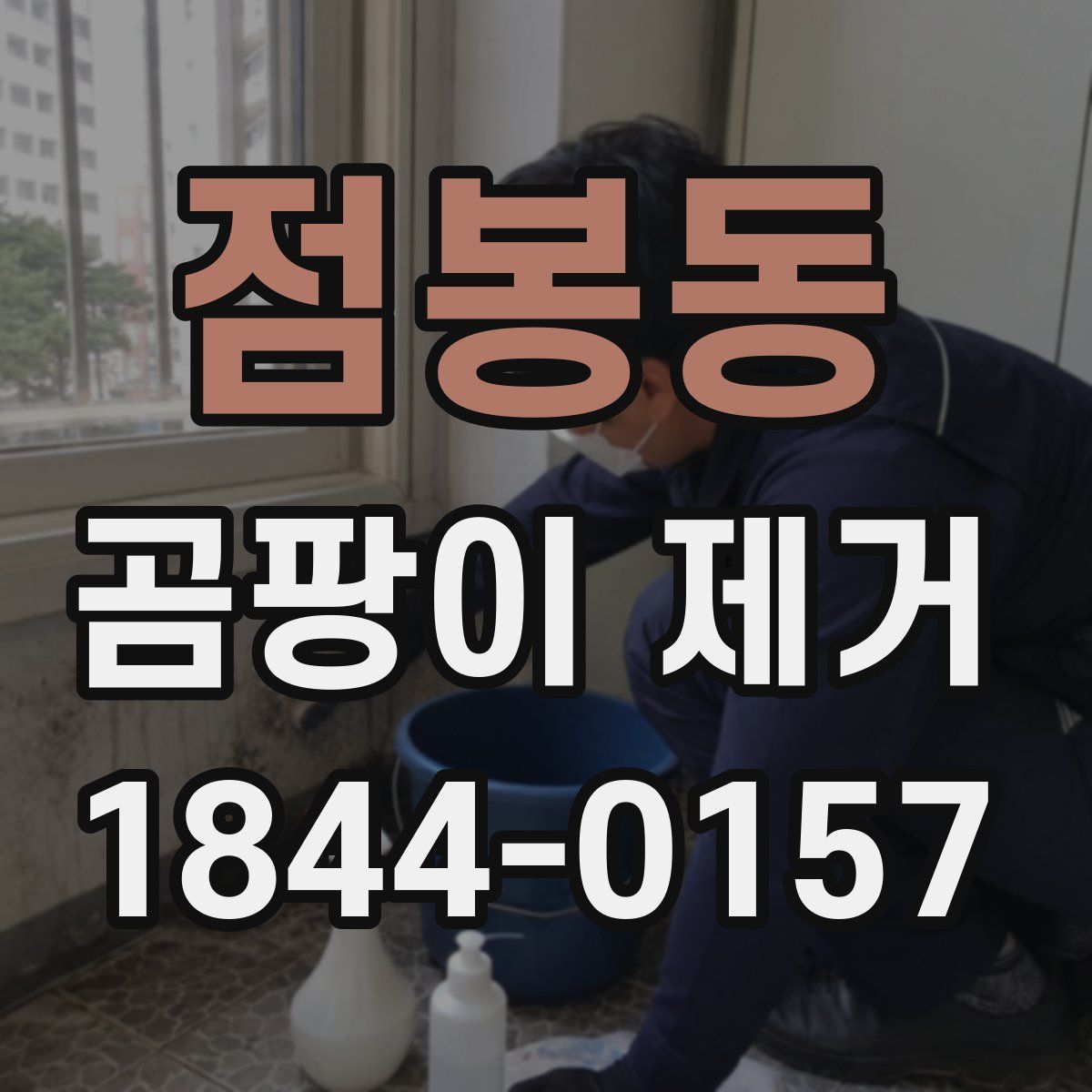 점봉동 곰팡이 제거