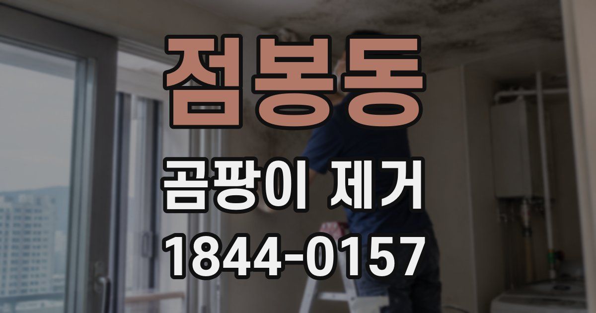 점봉동 곰팡이 제거