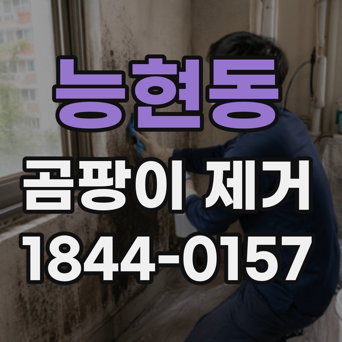 능현동 곰팡이 제거