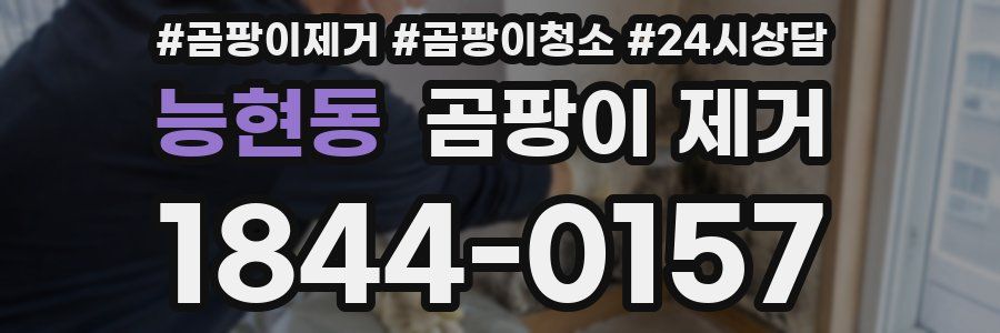 능현동 곰팡이 제거