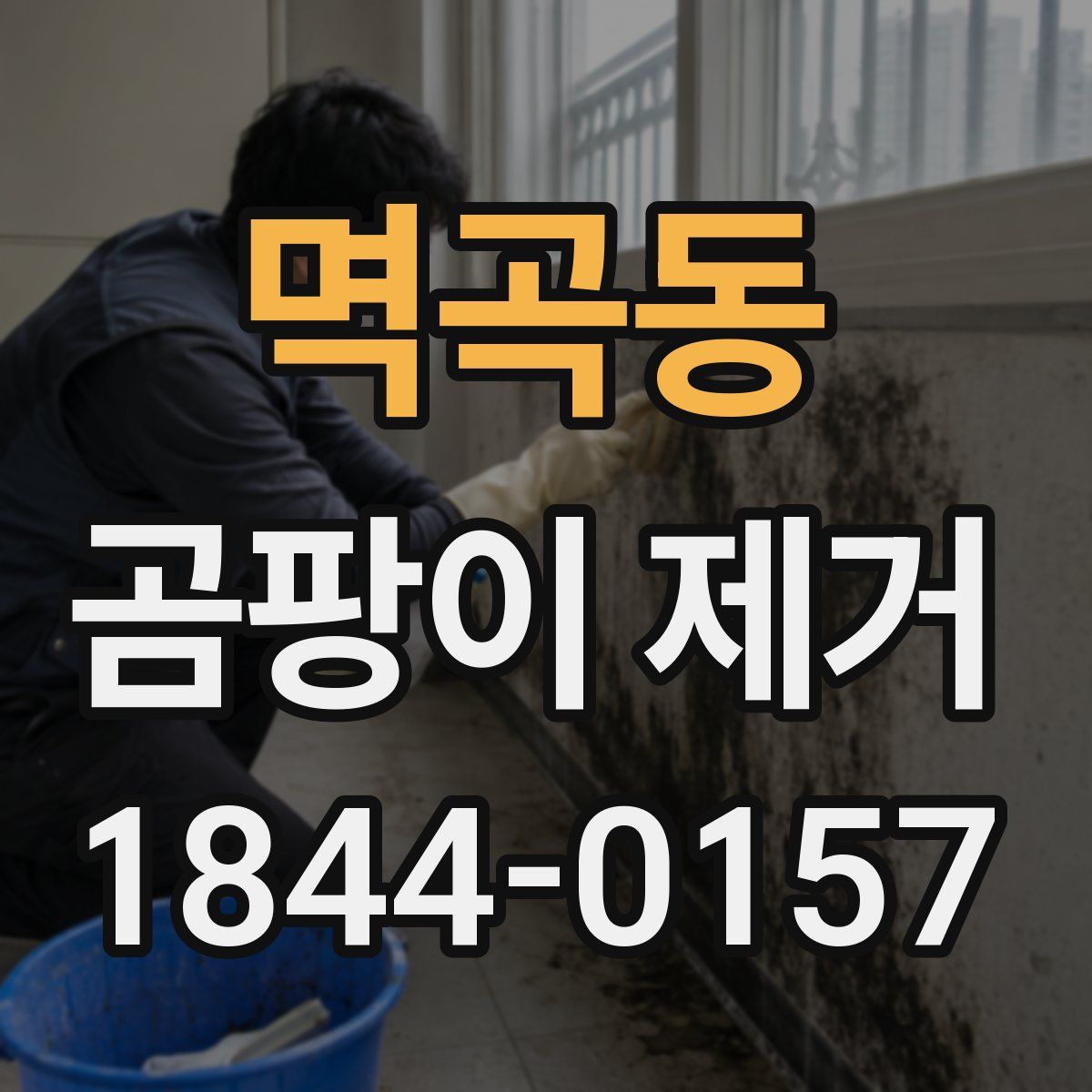 멱곡동 곰팡이 제거