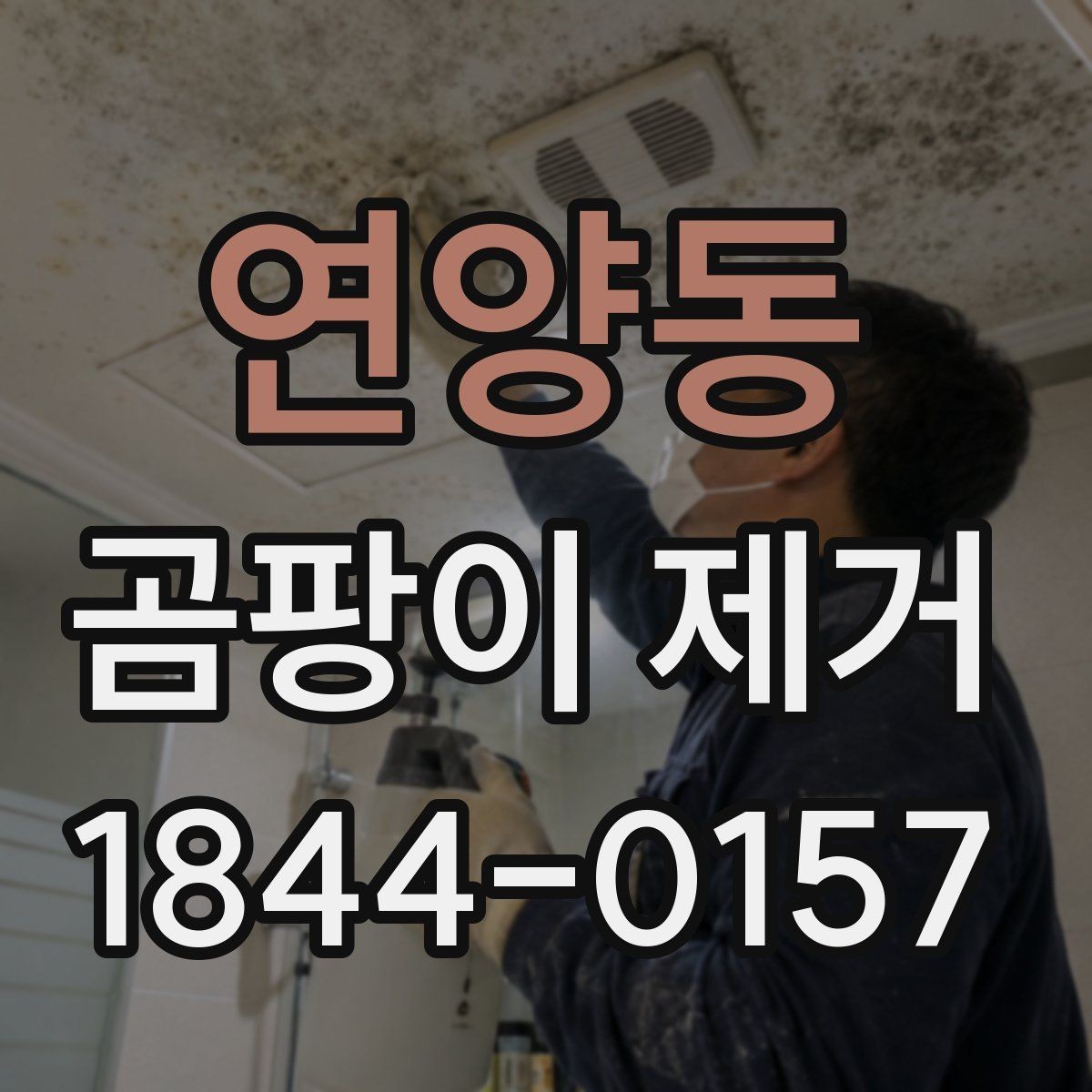 연양동 곰팡이 제거 벽면 상태를 보고 청소 범위 정하는 법
