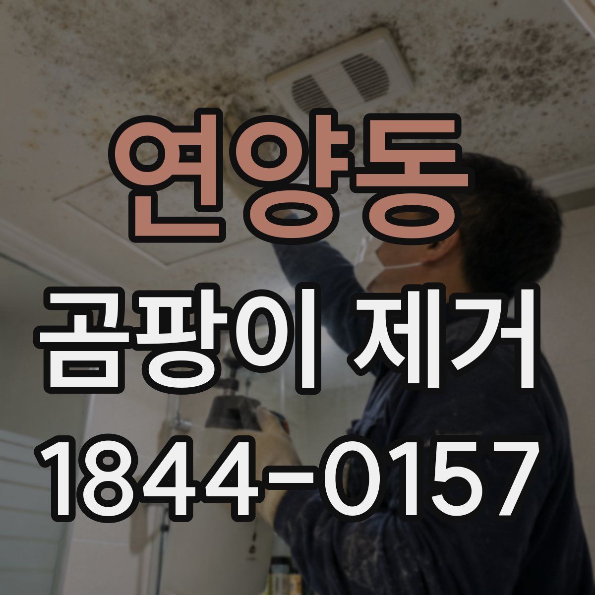 연양동 곰팡이 제거
