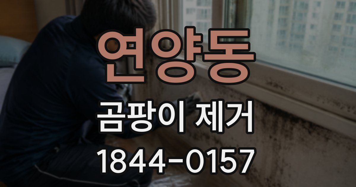 연양동 곰팡이 제거