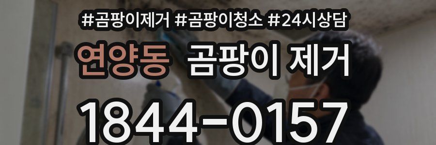 연양동 곰팡이 제거