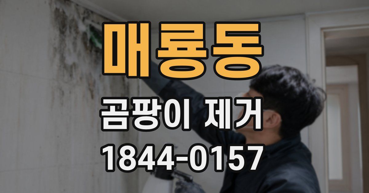매룡동 곰팡이 제거