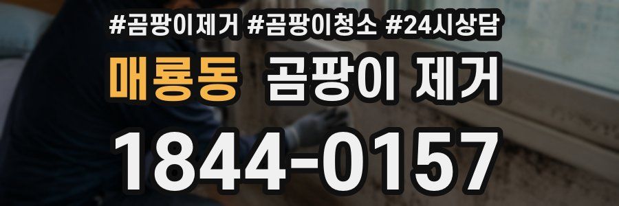 매룡동 곰팡이 제거