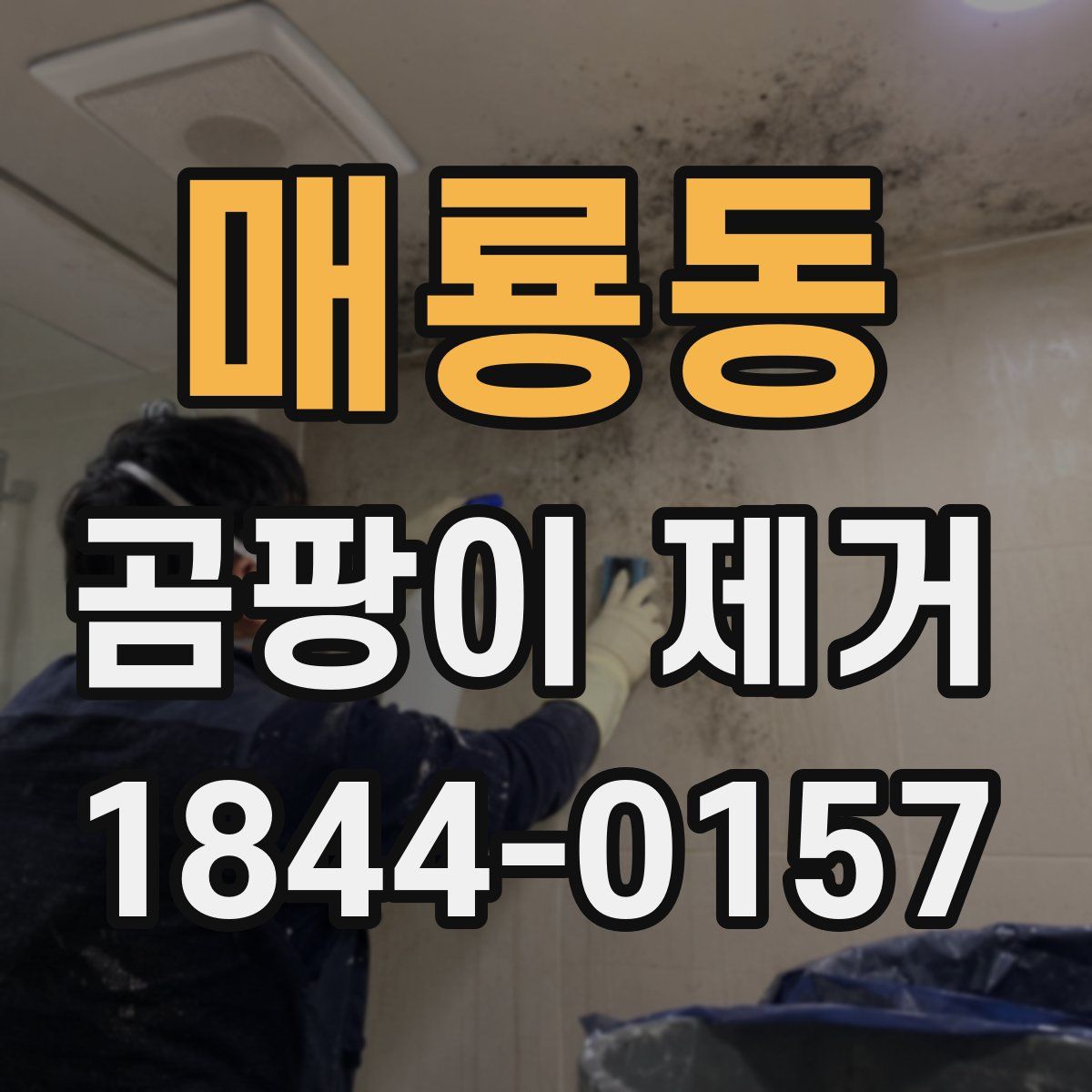 매룡동 곰팡이 제거