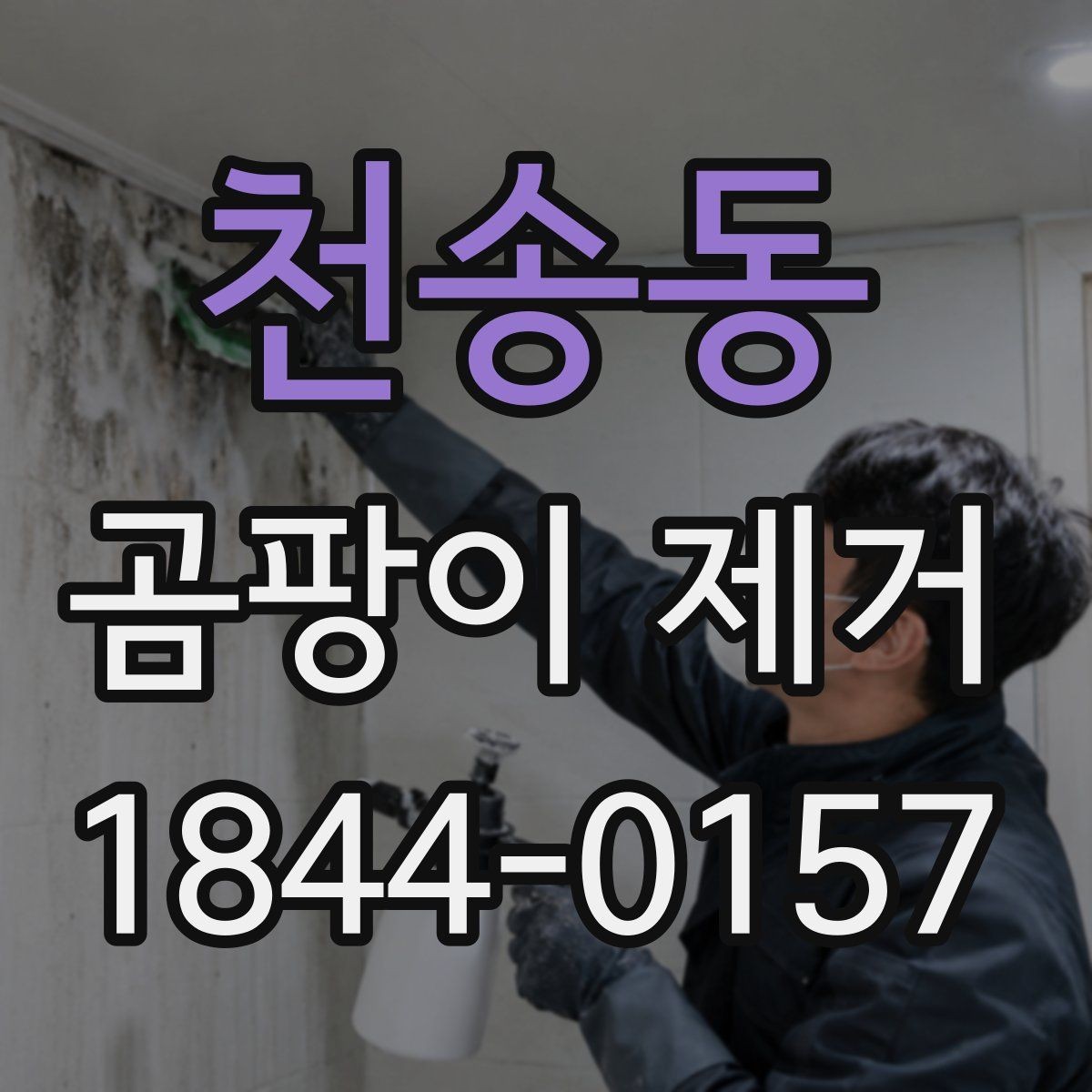 천송동 곰팡이 제거 실내 공기와 냄새까지 함께 정리하는 팁