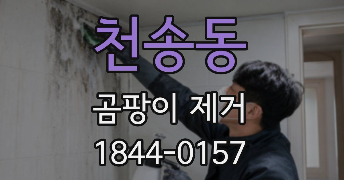 천송동 곰팡이 제거