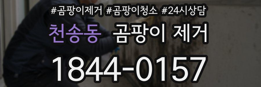 천송동 곰팡이 제거