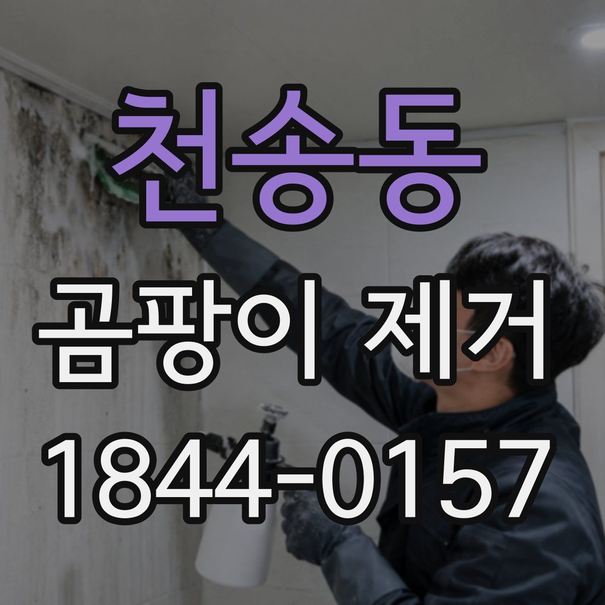 천송동 곰팡이 제거