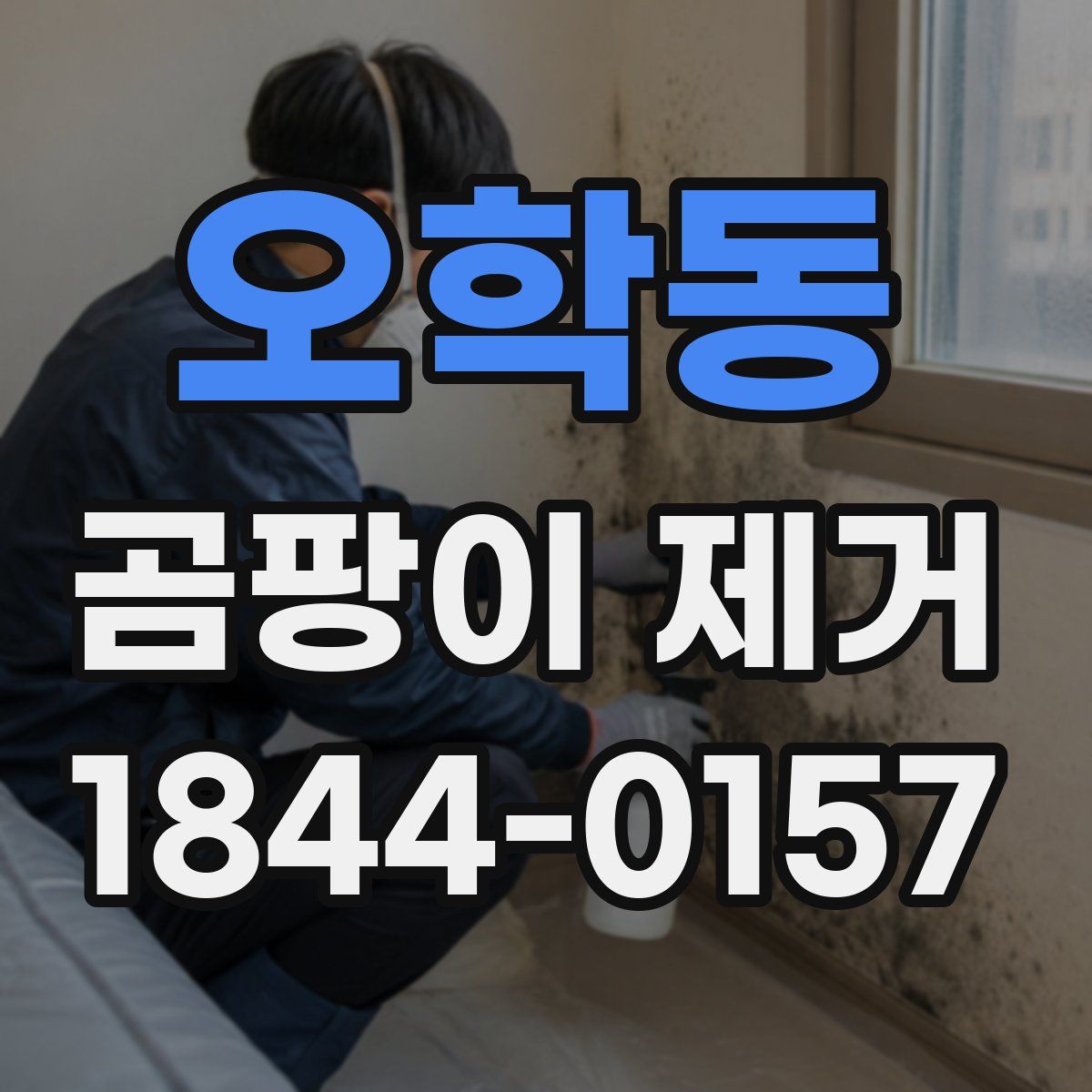 오학동 곰팡이 제거