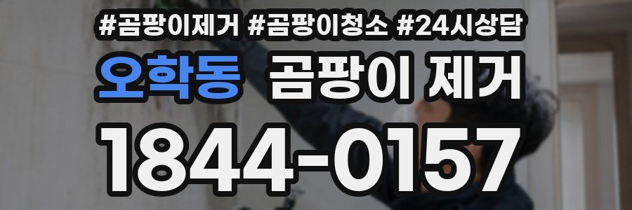 오학동 곰팡이 제거
