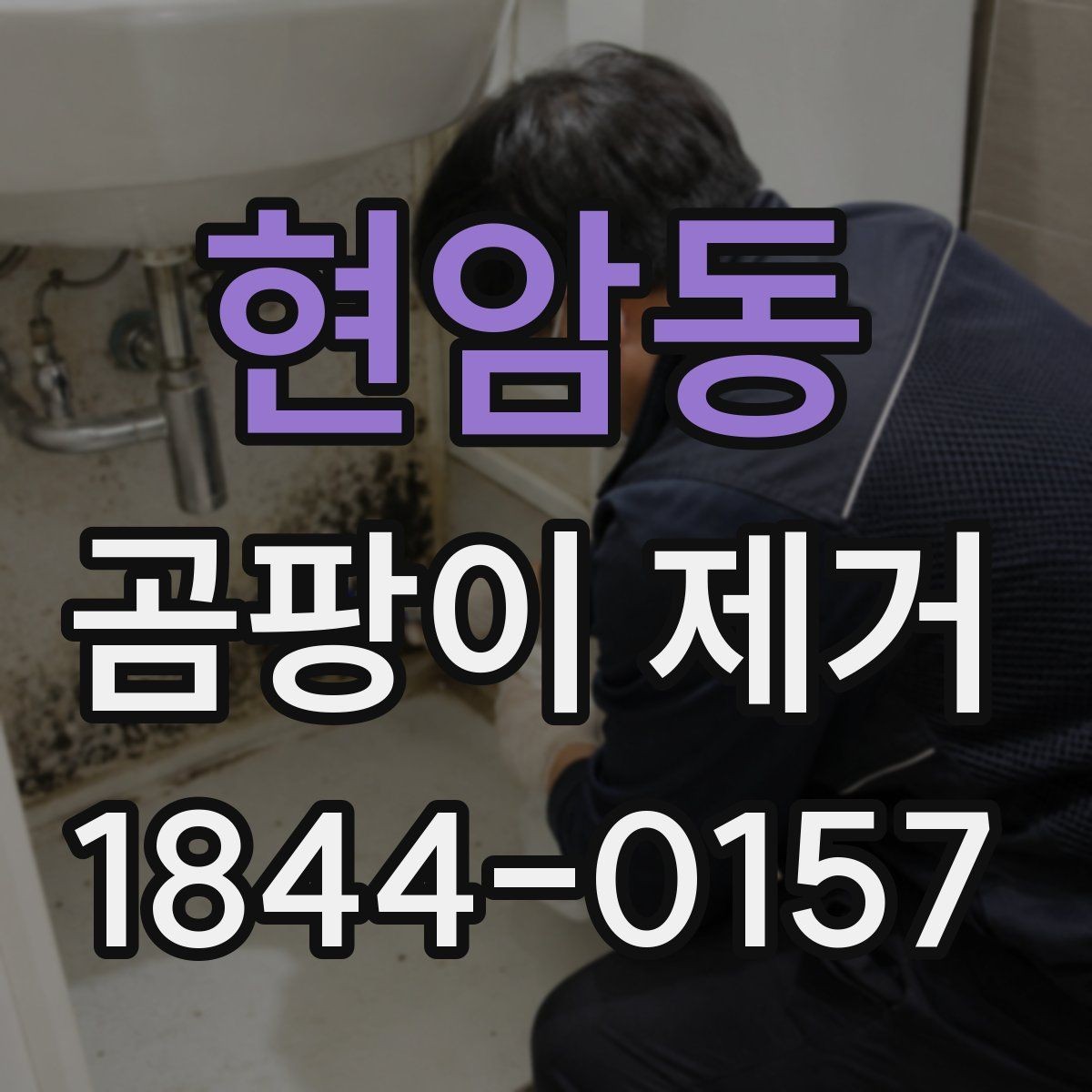 현암동 곰팡이 제거 붙박이장 뒤편 습기까지 살펴보는 이유
