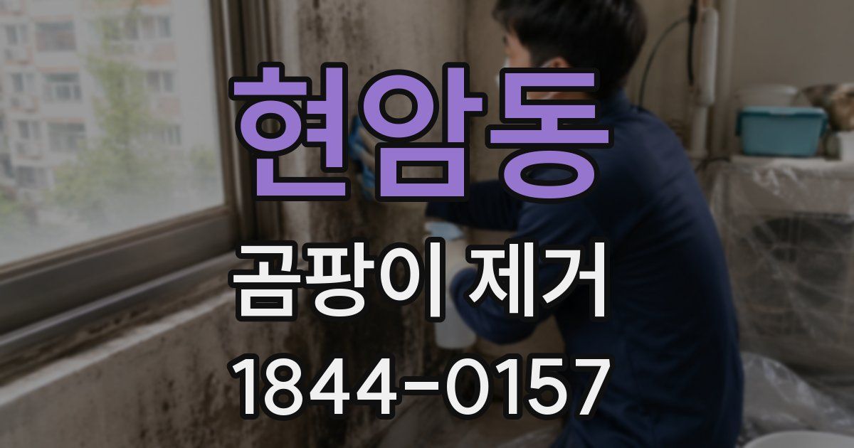 현암동 곰팡이 제거