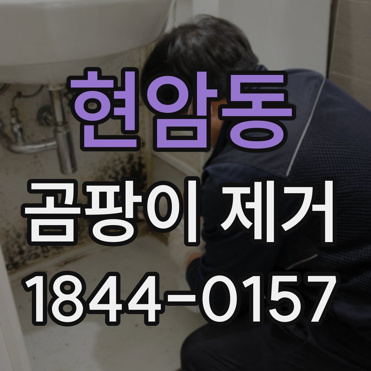 현암동 곰팡이 제거