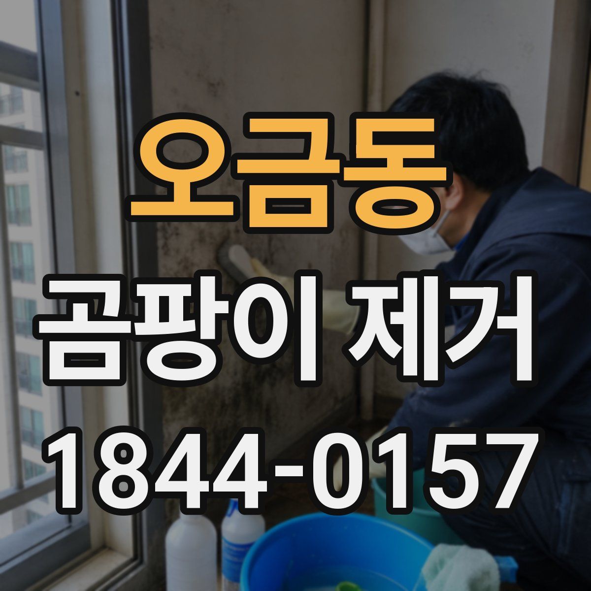 오금동 곰팡이 제거