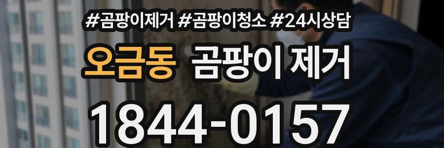 오금동 곰팡이 제거