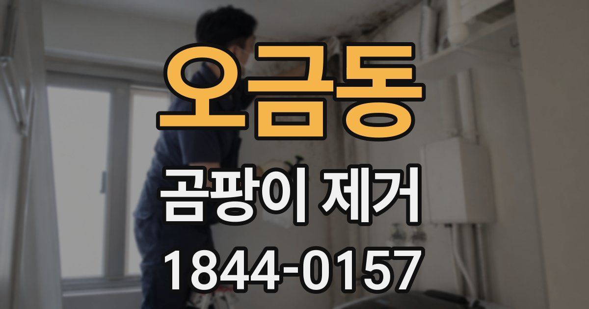 오금동 곰팡이 제거