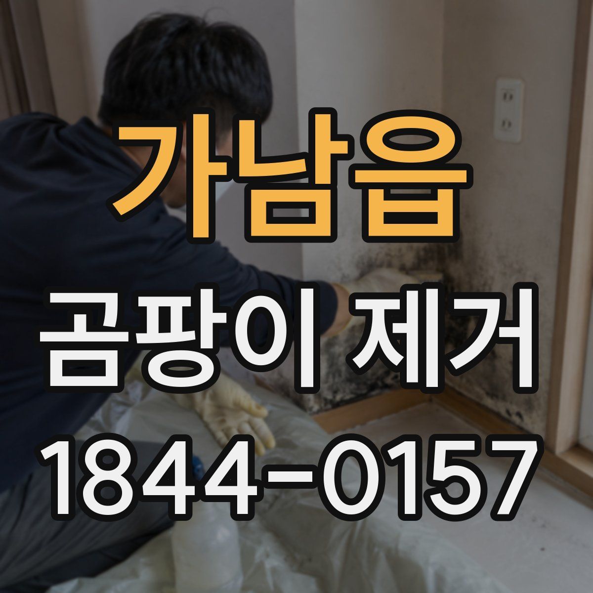 가남읍 곰팡이 제거
