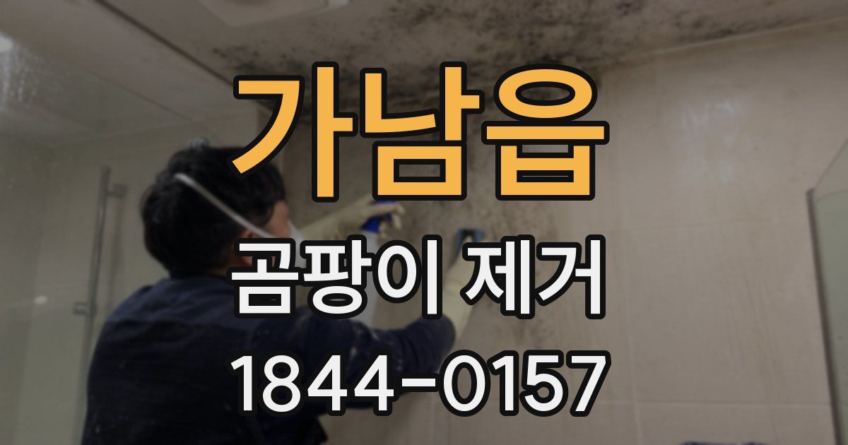 가남읍 곰팡이 제거