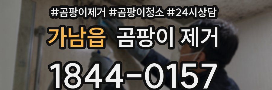 가남읍 곰팡이 제거
