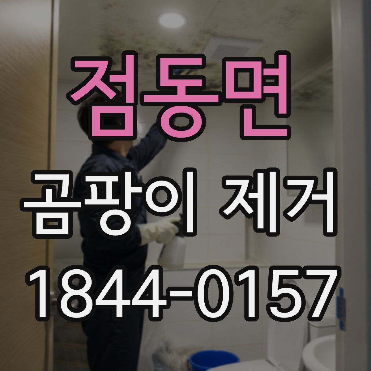 점동면 곰팡이 제거