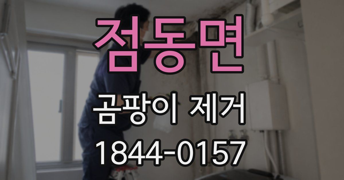 점동면 곰팡이 제거