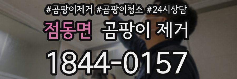 점동면 곰팡이 제거