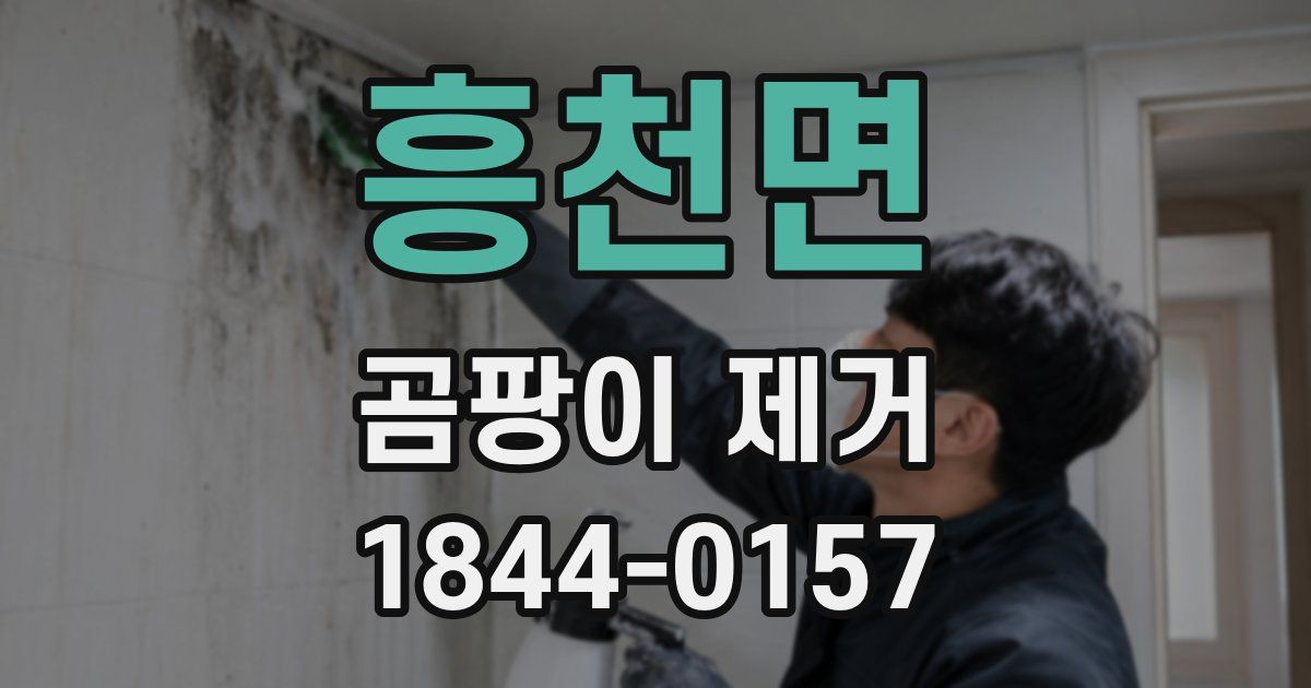 흥천면 곰팡이 제거