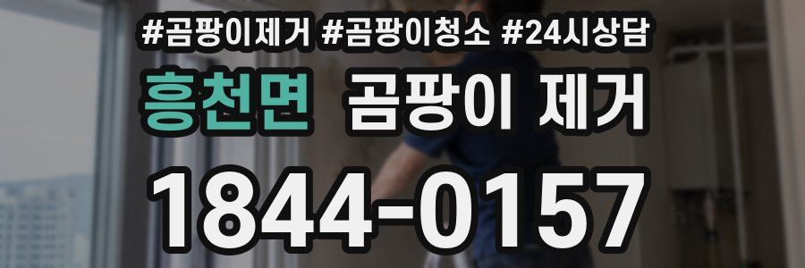 흥천면 곰팡이 제거